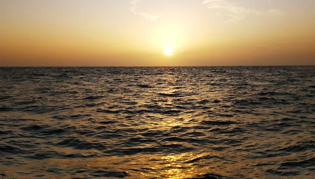 Aluguel de bicicleta no sul de Tenerife - Foto 4