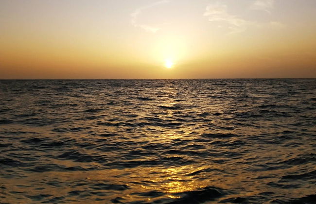 Bike Rental in South Tenerife - Foto 4