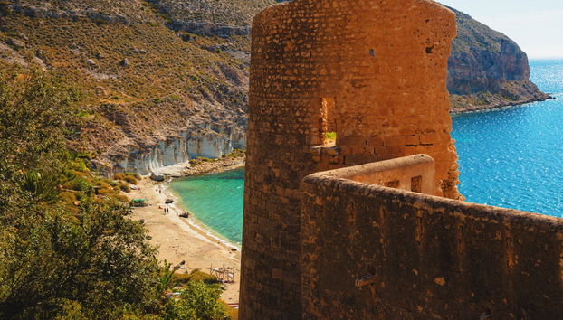 Cape Cat Boat Tour - Foto 4