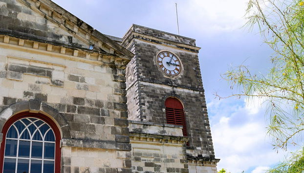 Excursión a Bahía Montego - Foto 2