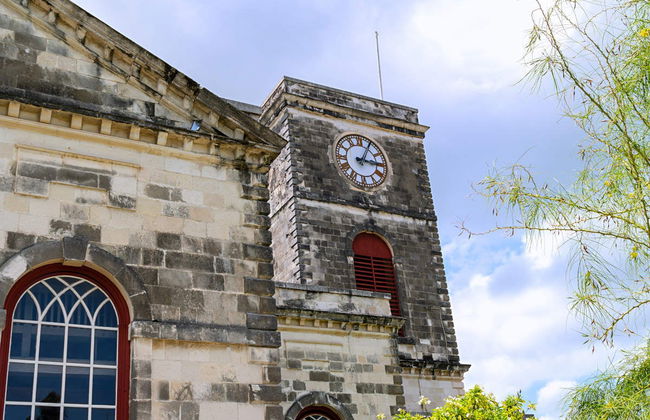 Excursión a Bahía Montego - Foto 2