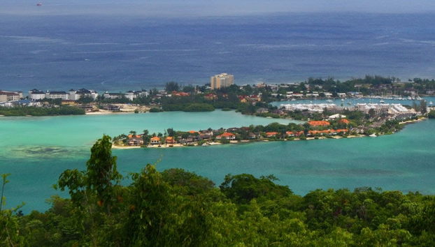 Excursión a Bahía Montego - Foto 4