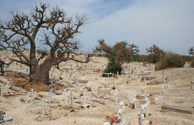 Excursión privada a Joal-Fadiouth y a un poblado serer - Foto 1