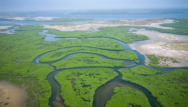 Tour de 10 días por el País Bassari y el delta del Salum - Foto 4