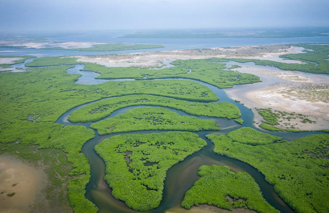 Tour de 10 días por el País Bassari y el delta del Salum - Foto 4