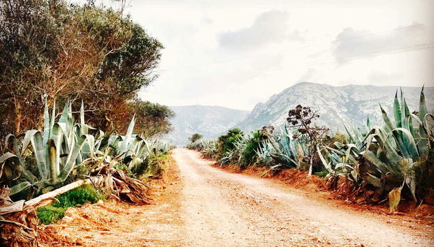 Tour por las playas de Mónsul y los Genoveses en 4x4 - Foto 5