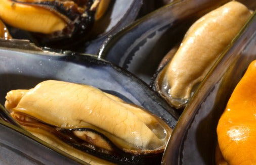 Giro in barca sulla ría + Degustazione di cozze - Foto 7