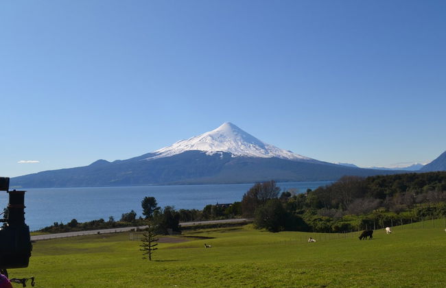 Excursion au volcan Osorno - Photo 6