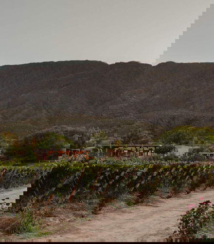 Foto de Tour de viñedos y bodegas por San Juan