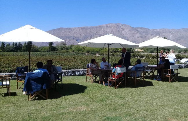 Tour de viñedos y bodegas por San Juan - Foto 2