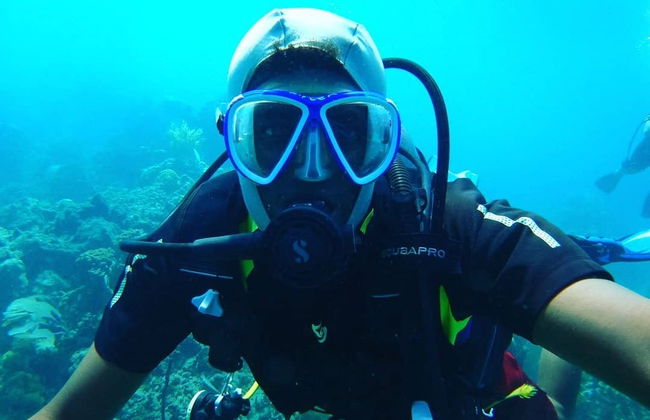 Catalina Island Diving Experience - Foto 5