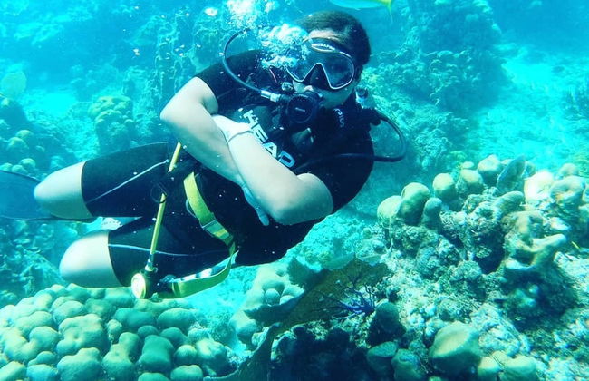 Catalina Island Diving Experience - Foto 4