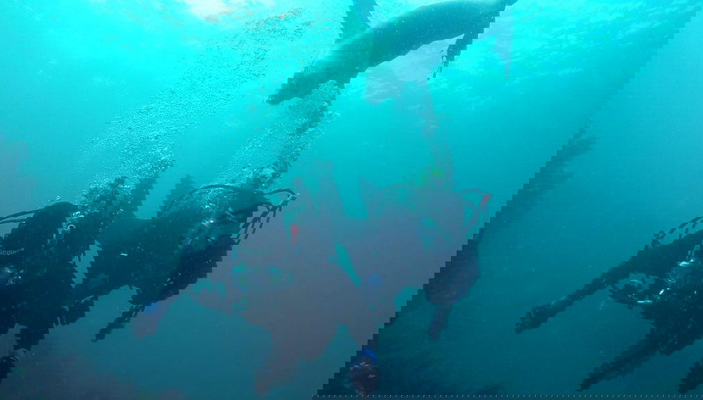 Buceo con lobos marinos en Punta Loma - Foto 1