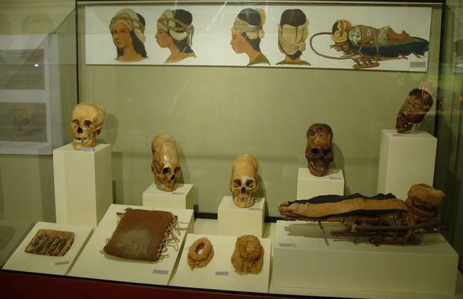 Excursão privada saindo de Paracas - Foto 3