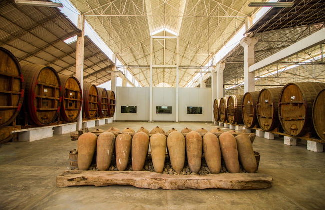 Escursione a Ica e Huacachina - Foto 1