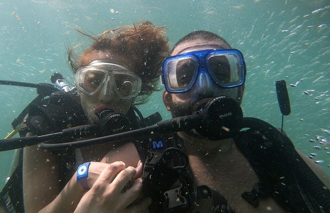 Beginners Scuba Diving - Photo 4