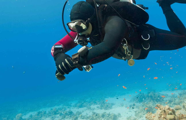 Bautismo de buceo en Albufeira - Foto 4