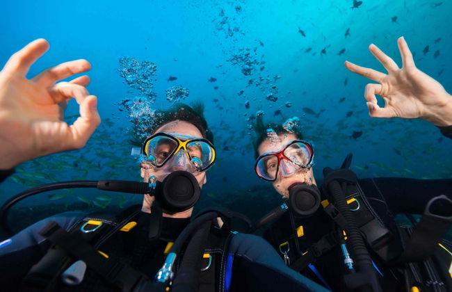 Batismo de mergulho em Albufeira - Foto 1