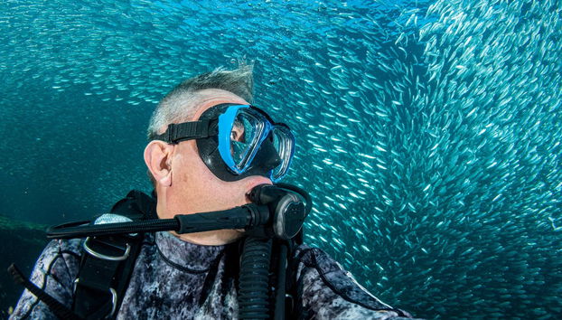 Baptême de plongée à Albufeira - Photo 3