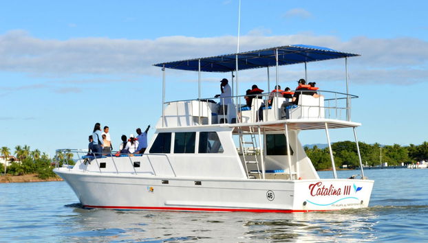 Avistamento de baleias em Puerto Vallarta - Foto 3