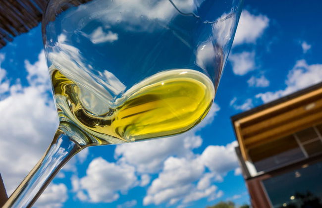 Visita guiada pelo lagar Oleícola San Francisco - Foto 1