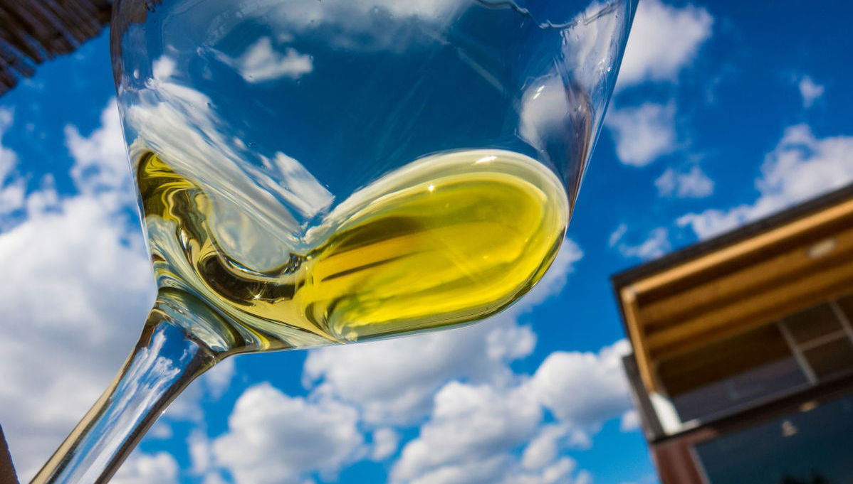 Olive Oil Mill Guided Tour - Foto 1