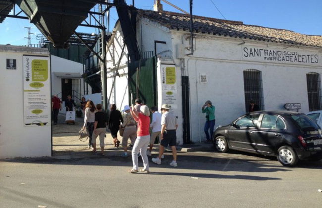 Visita guiada pelo lagar Oleícola San Francisco - Foto 2