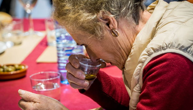 Olive Oil Mill Guided Tour - Foto 5