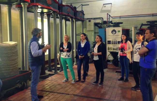 Visita guiada pelo lagar Oleícola San Francisco - Foto 3