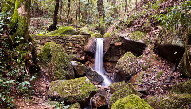 Tour di Sintra e del suo Parco Naturale in 4x4 - Foto 4