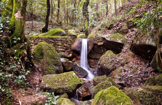 Sintra Natural Park & Pena Palace Trip - Foto 4