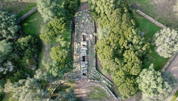 Olbia Archaeology Tour - Photo 2
