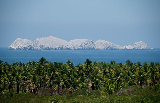 Potosí Lagoon Boat Trip & Horse Riding - Photo 3
