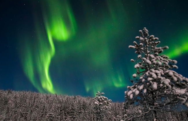 Northern Lights Photo Tour - Photo 6