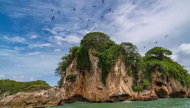 Los Haitises National Park Day Trip - Foto 3