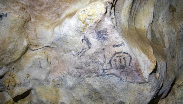 Los Haitises National Park Day Trip - Foto 2