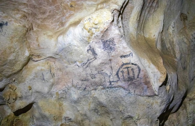 Barco por el Parque Nacional de los Haitises + Entrada a las piscinas de Altos de Caño Hondo - Foto 4