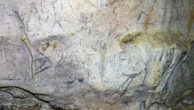 Los Haitises National Park Day Trip - Foto 4