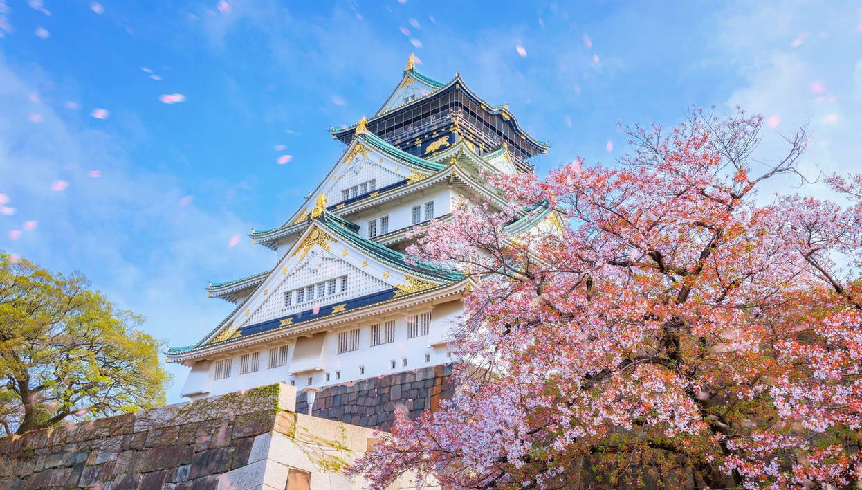 Tour privato di Osaka - Foto 1