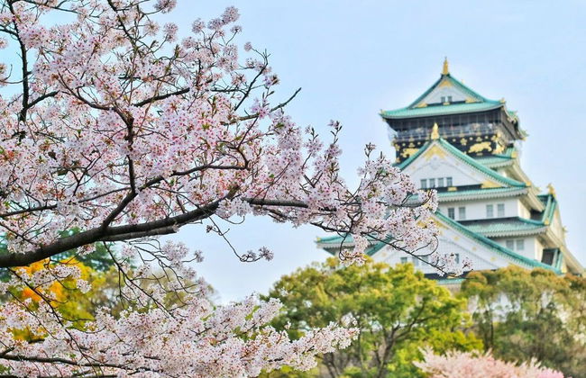 Tour privato di Osaka - Foto 5