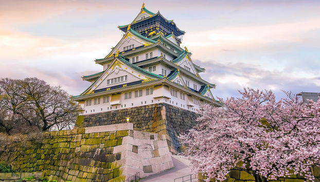 Osaka Private Walking Tour - Foto 4