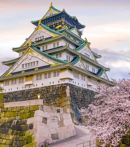Foto de Tour privado por Osaka
