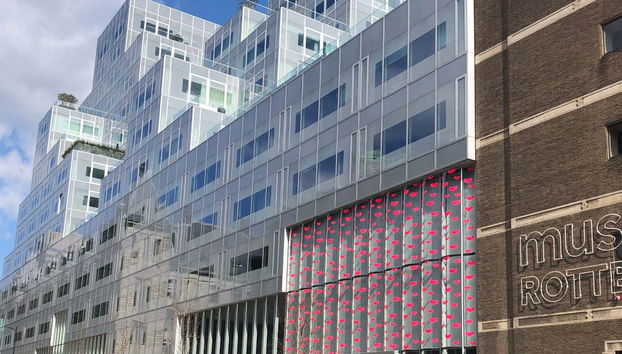 Rotterdam Guided Walking Tour - Foto 3