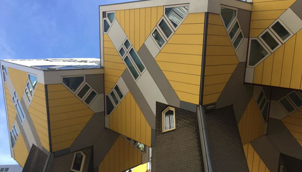 Rotterdam Guided Walking Tour - Foto 5