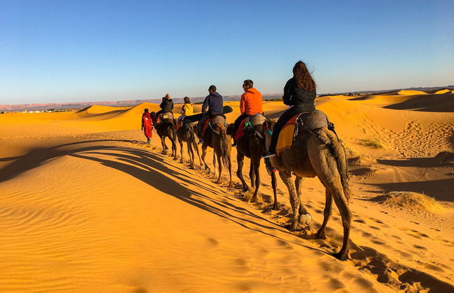Desert Full-Day Trip - Photo 10