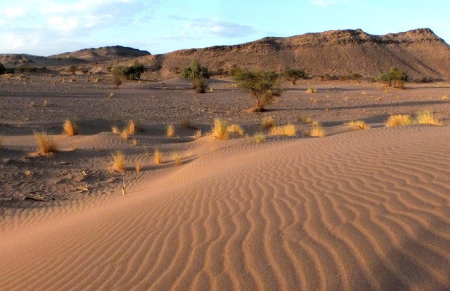 Desert Full-Day Trip - Photo 3
