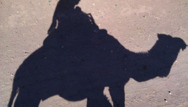 Desert Full-Day Trip - Photo 4