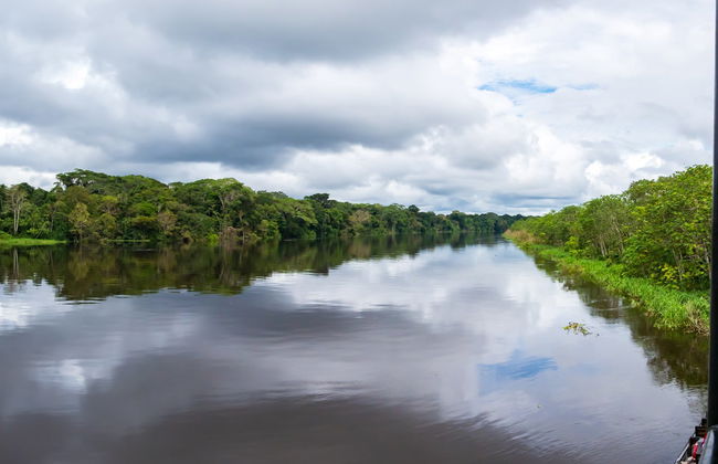 Pacaya Samiria Day Trip - Foto 6