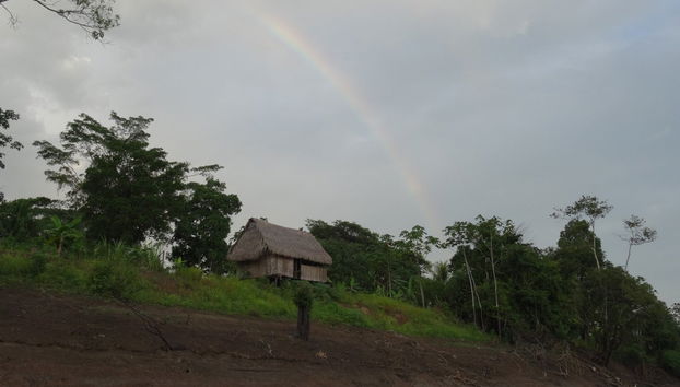 Pacaya Samiria Day Trip - Foto 4