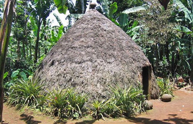 Marangu Day Trip - Photo 2